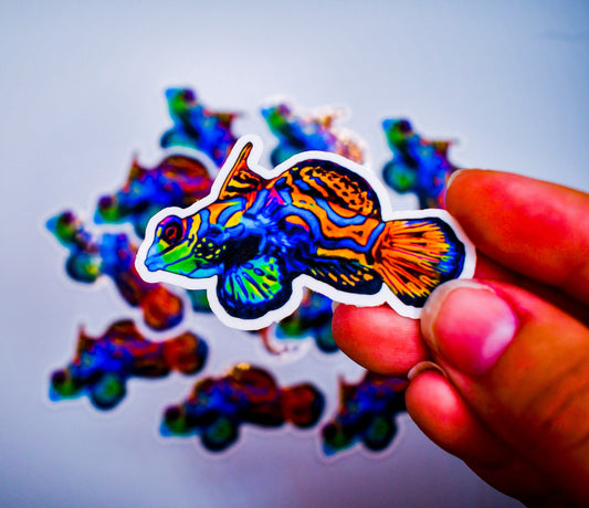 Mandarin Goby Vinyl Sticker