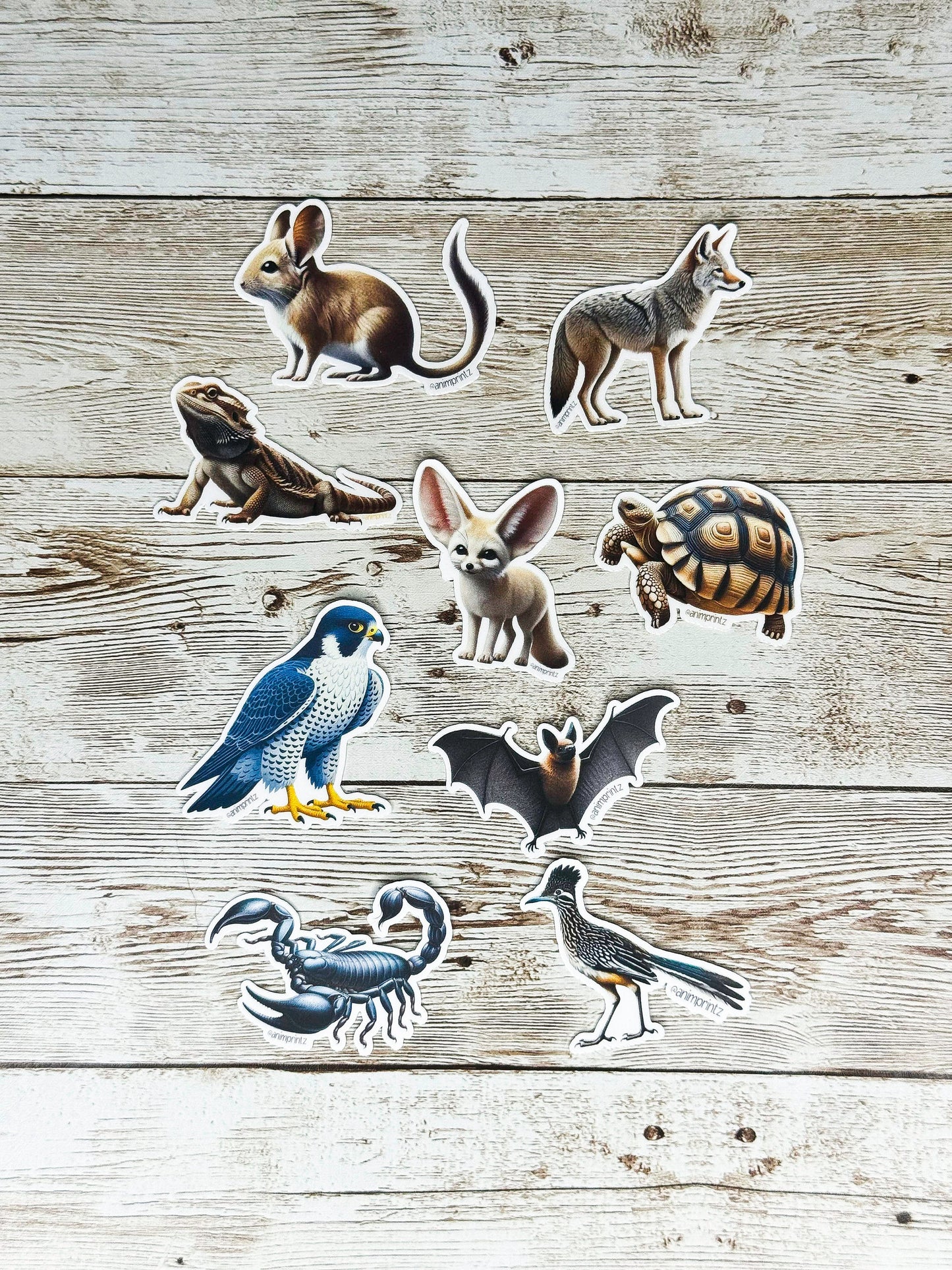 Desert Animals Matte Vinyl Sticker Pack
