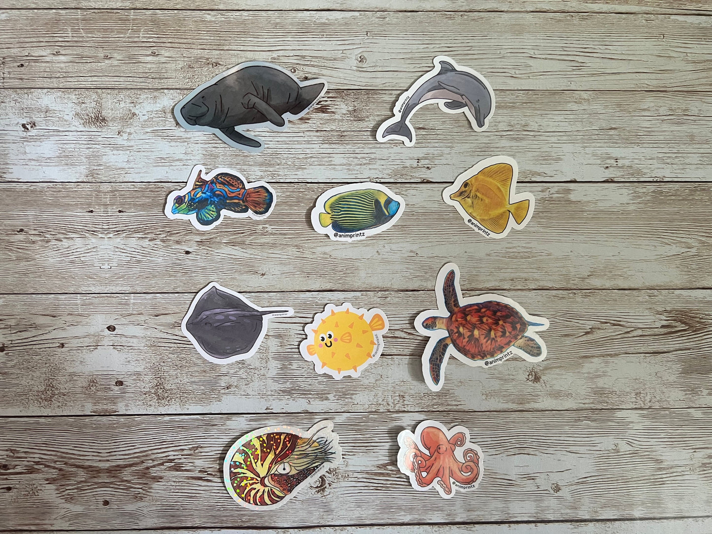 Reef Fish Glossy Sticker Pack