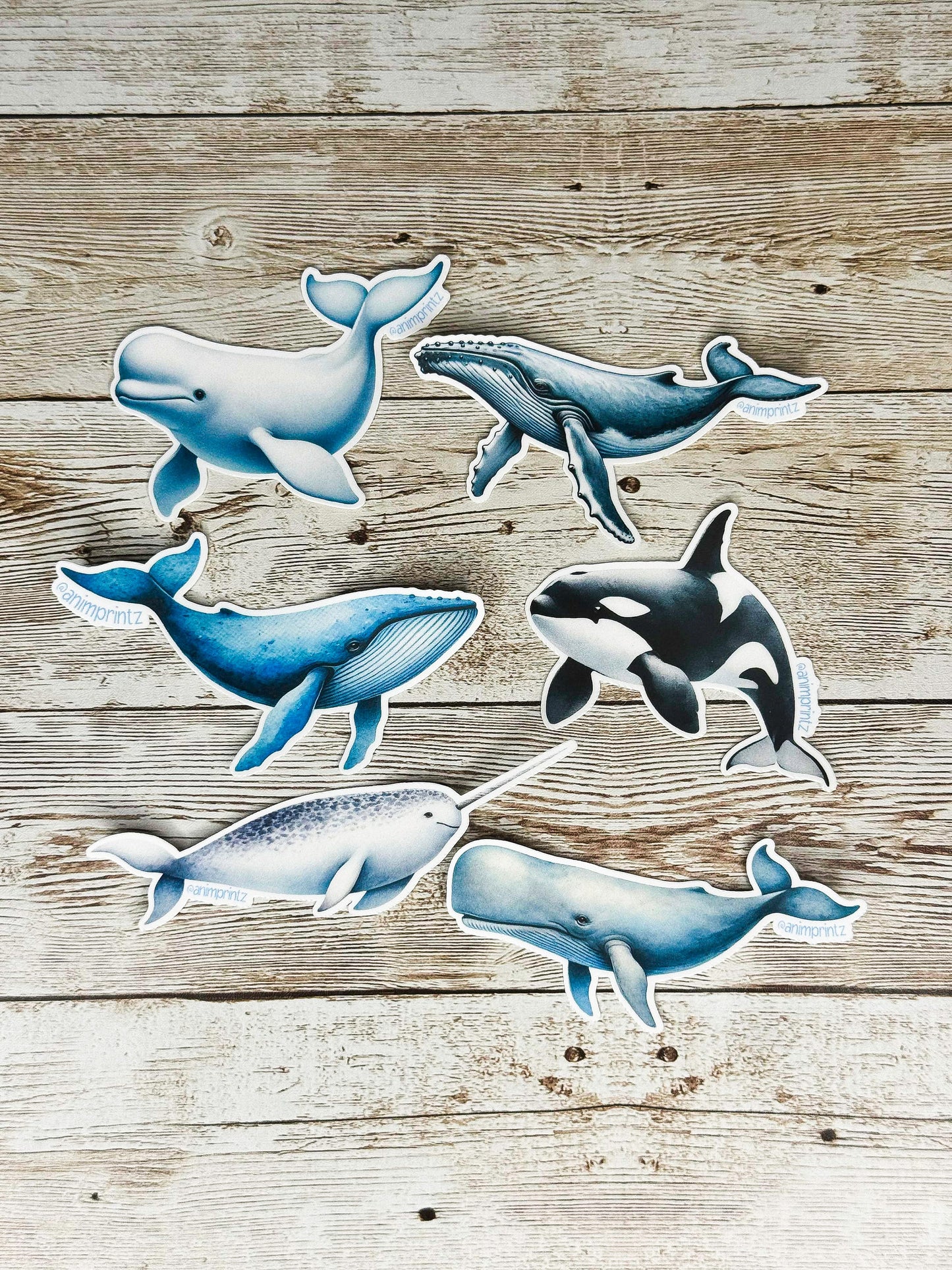 Watercolor Whales Matte Vinyl Sticker Pack