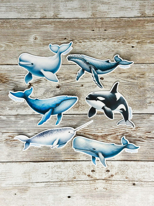 Watercolor Whales Matte Vinyl Sticker Pack