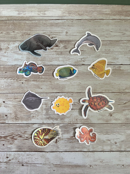 Reef Fish Glossy Sticker Pack