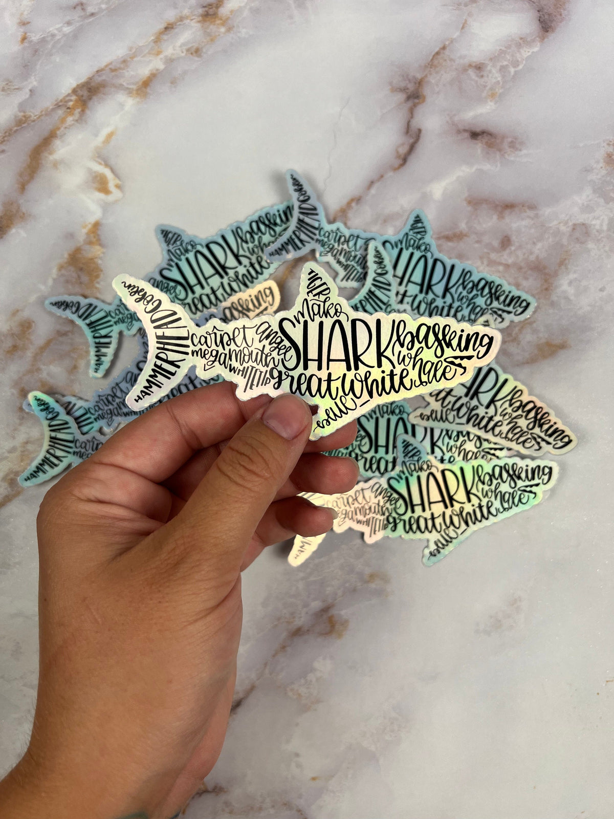 Shark Species Vinyl Holographic Sticker