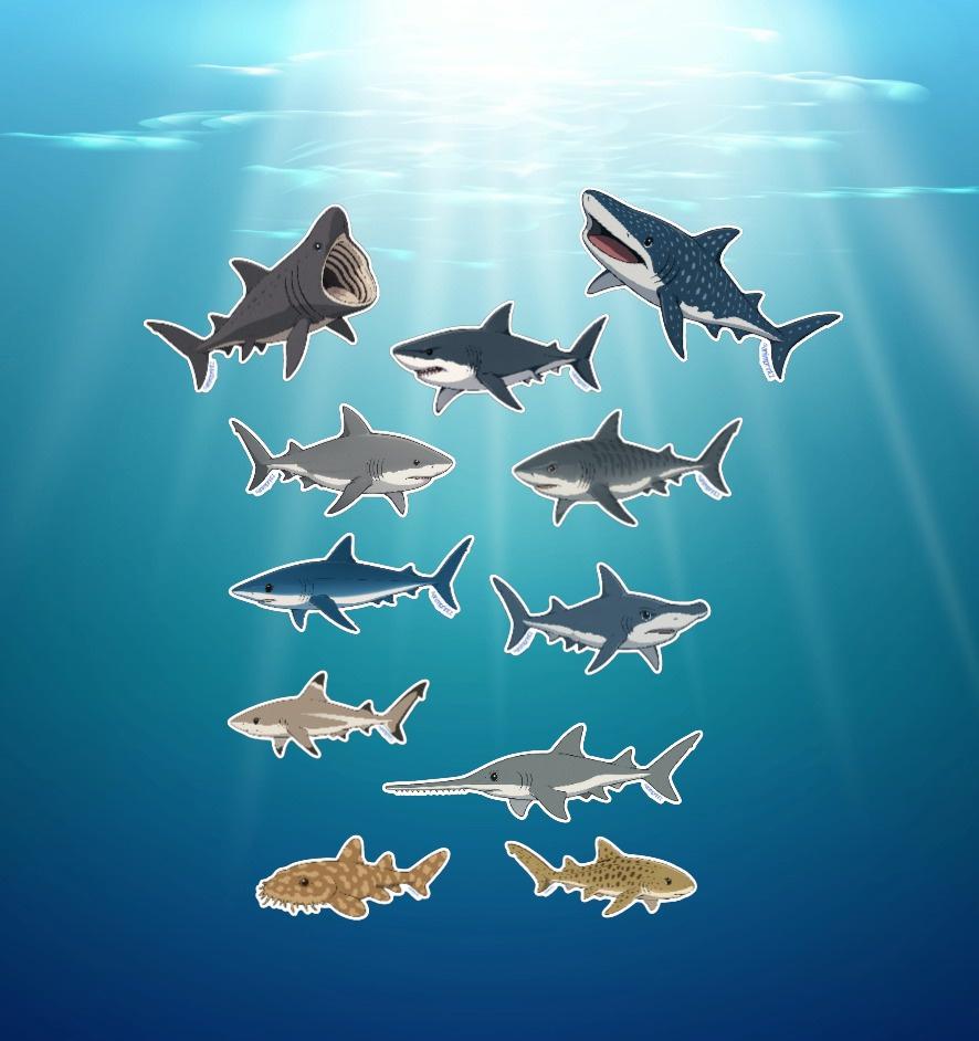 Anime Sharks Waterproof Vinyl Sticker Sheet