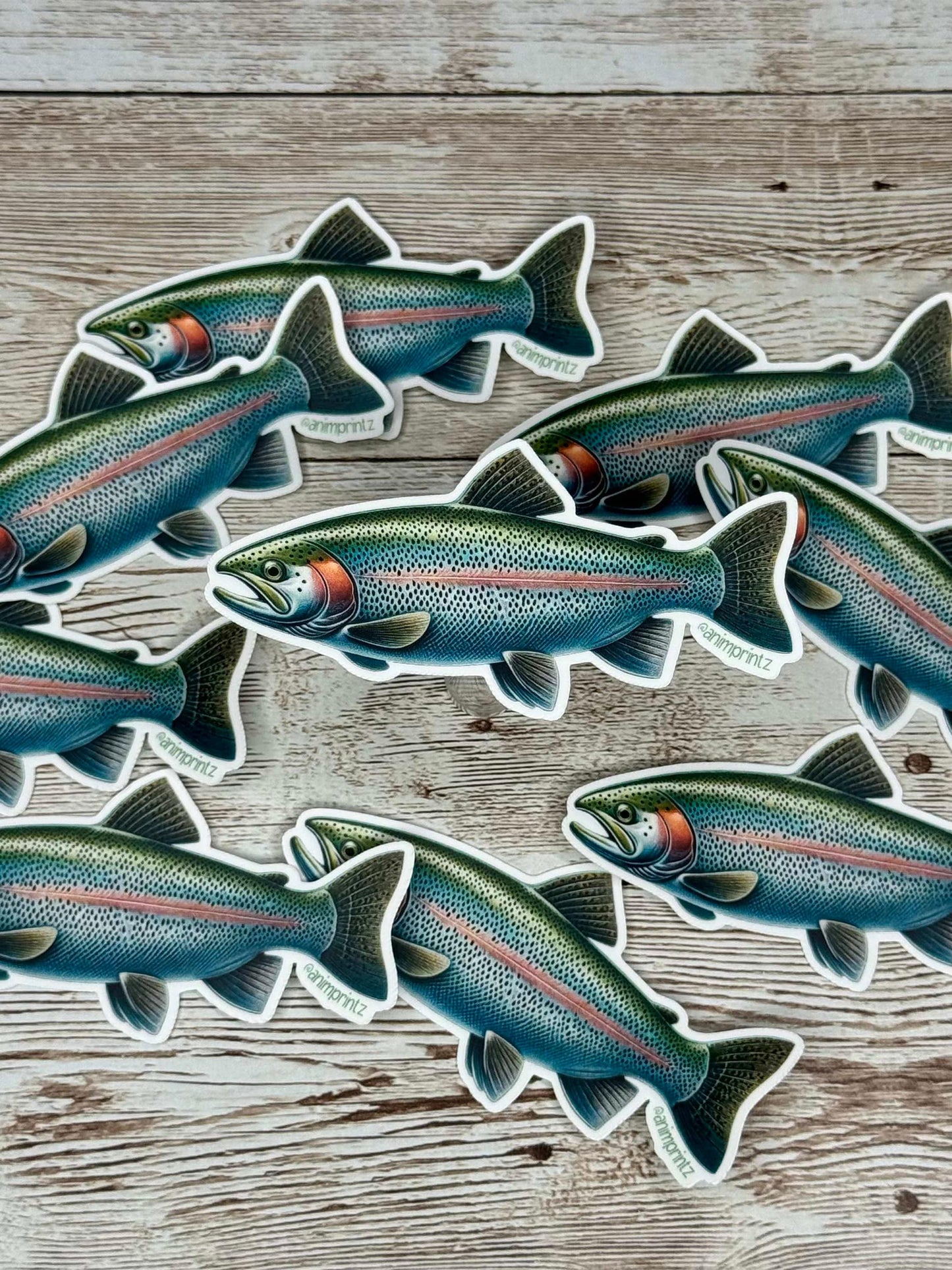 Rainbow Trout Matte Vinyl Sticker