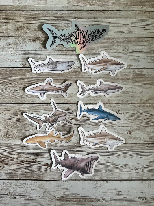 Realistic Style Shark Sticker Pack