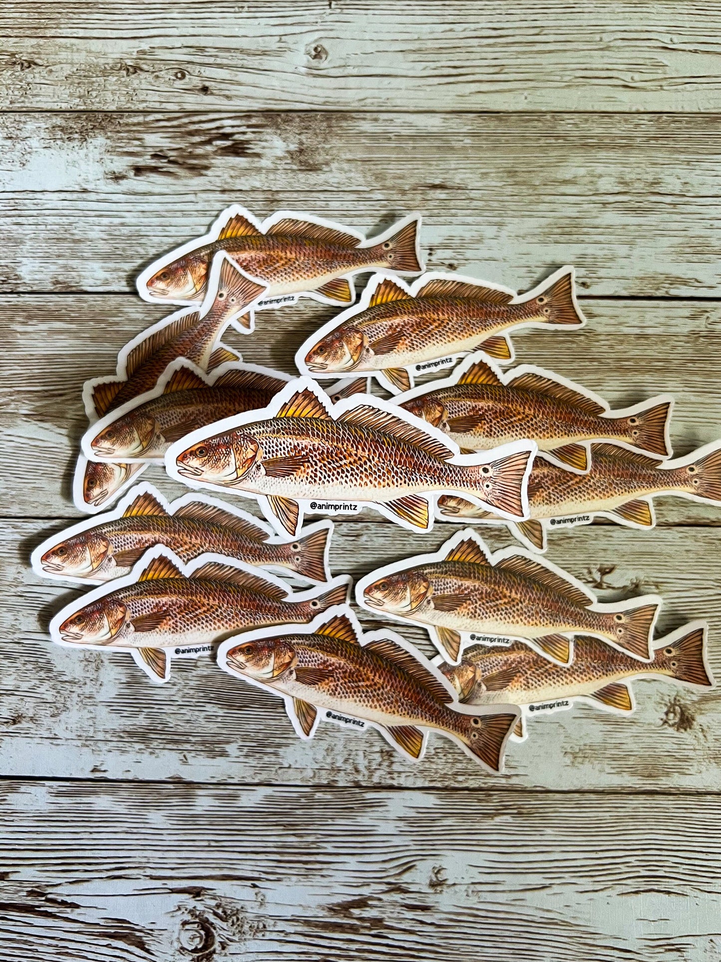 Red Drum Matte Vinyl Sticker