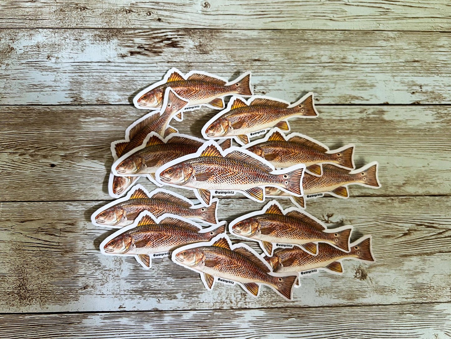 Red Drum Matte Vinyl Sticker