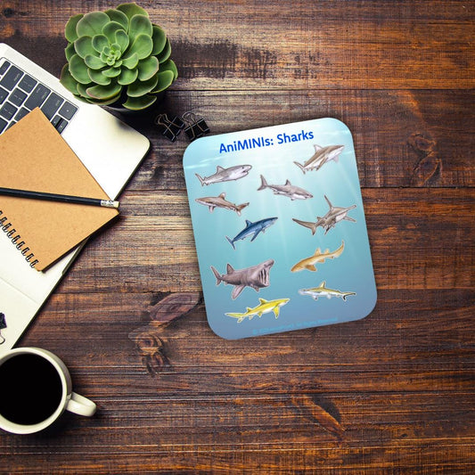 AniMINIs: Sharks; Matte Sticker Sheet