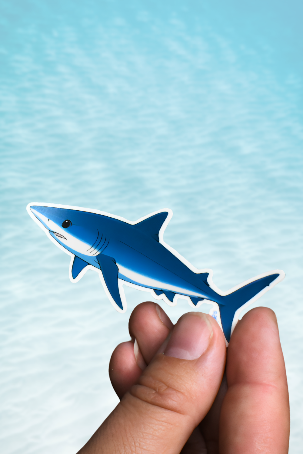 Anime Style Shark Sticker Pack