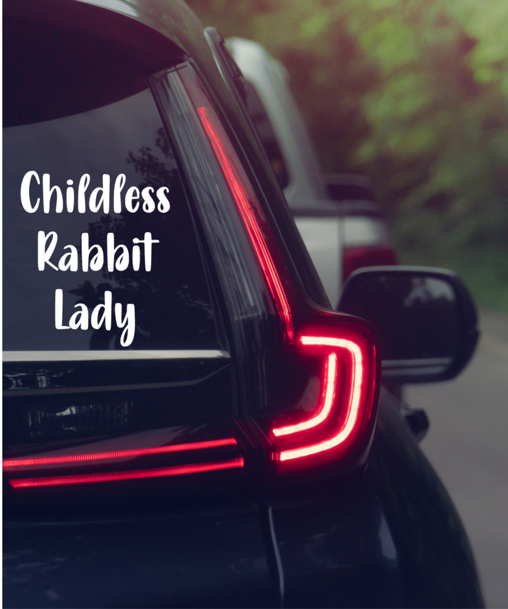 Childless Lady Vinyl Car Decal