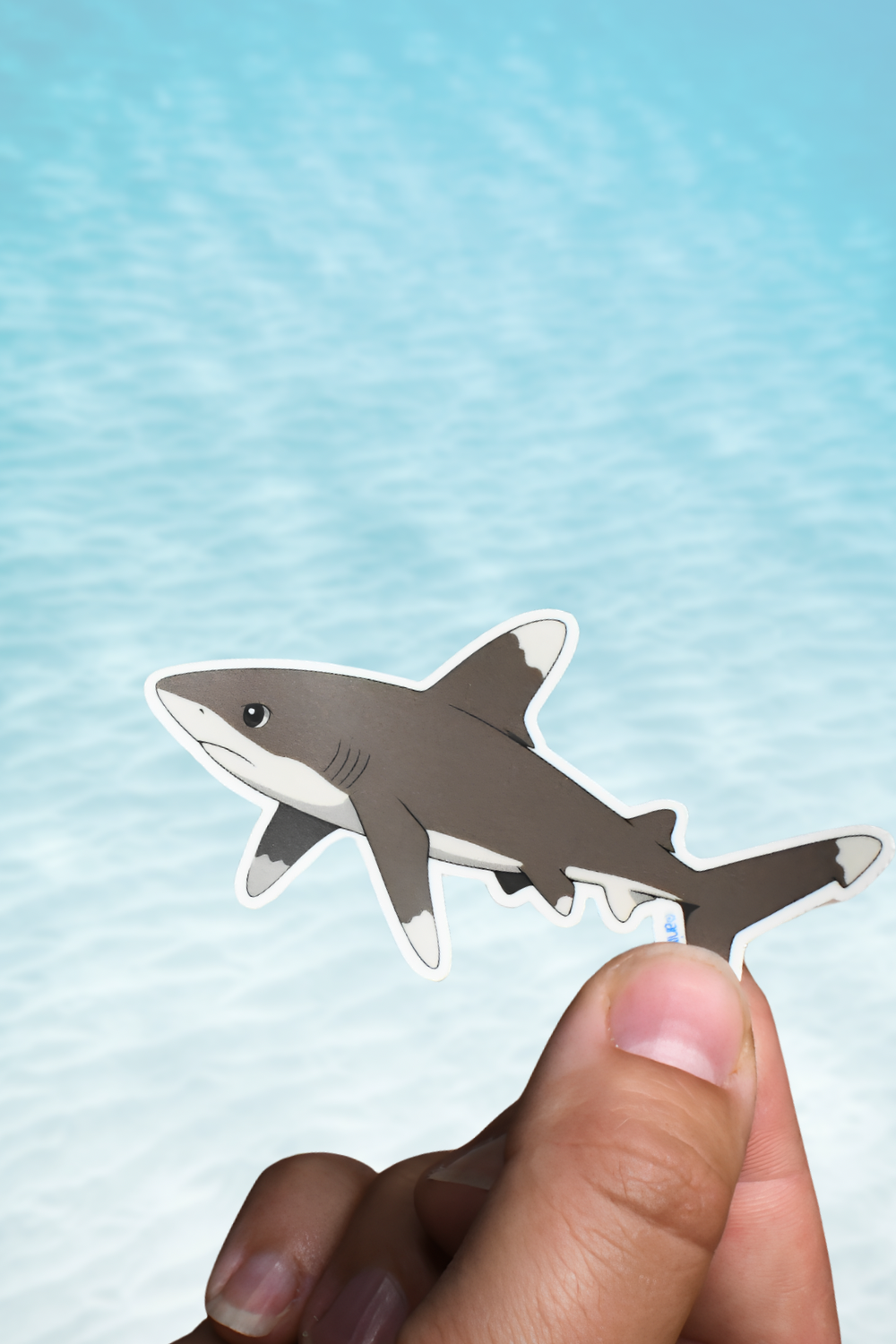 Anime Style Shark Sticker Pack