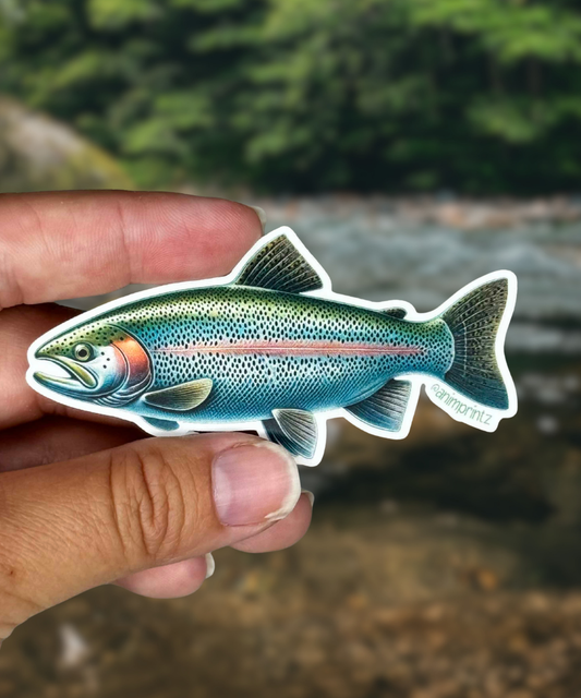 Rainbow Trout Matte Vinyl Sticker