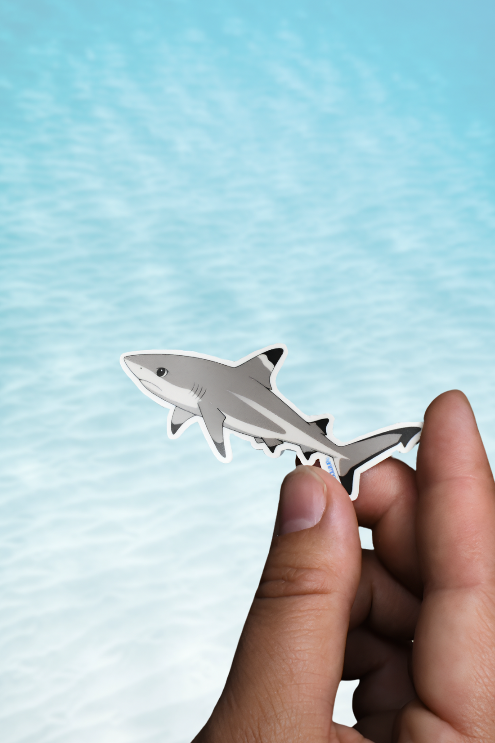 Anime Style Shark Sticker Pack