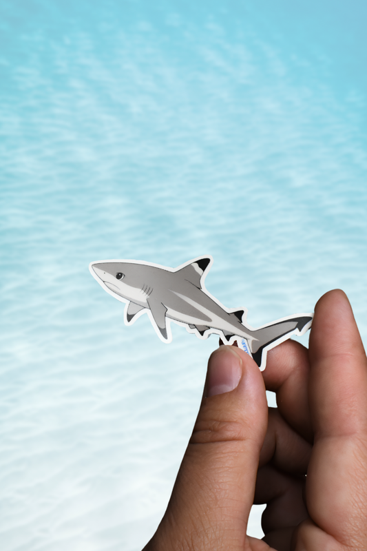 Anime Reef Shark Matte Vinyl Sticker