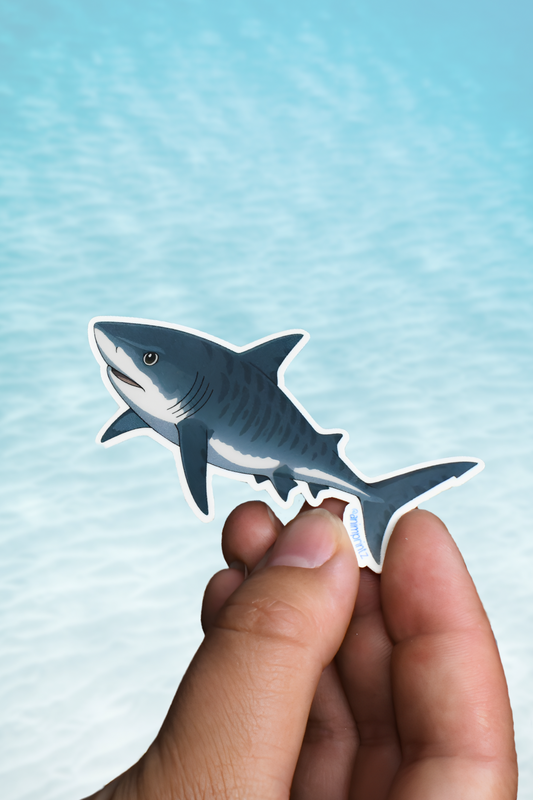 A hand holding a die-cut sticker of a shark against a light blue water-textured background.