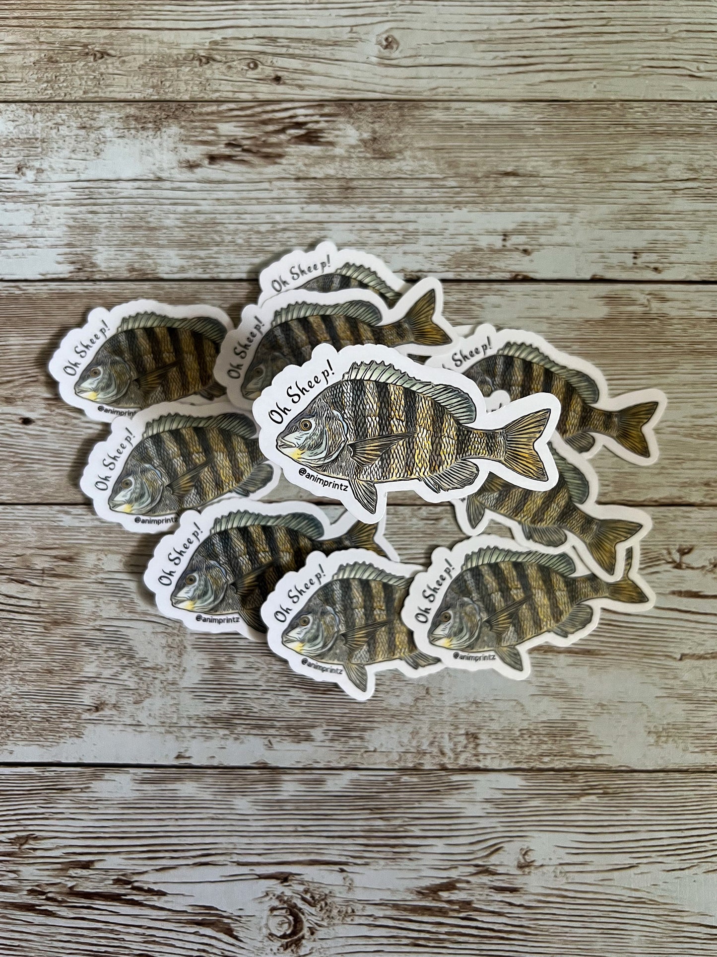 Sheepshead Vinyl Sticker