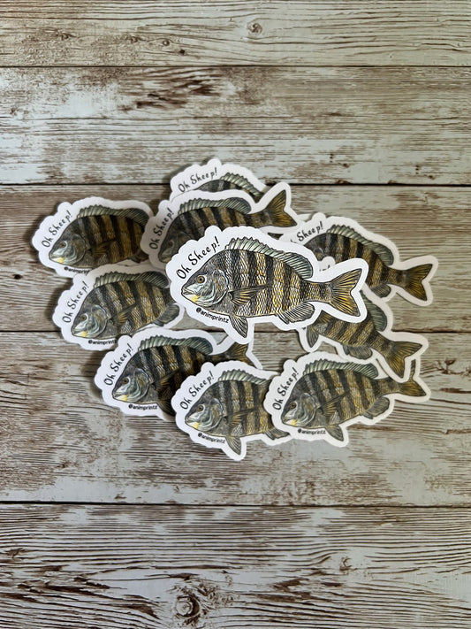 Sheepshead Vinyl Sticker