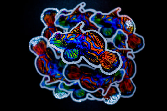 Mandarin Goby Vinyl Sticker