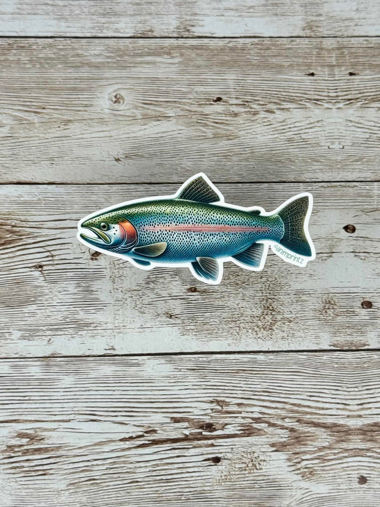 Rainbow Trout Matte Vinyl Sticker