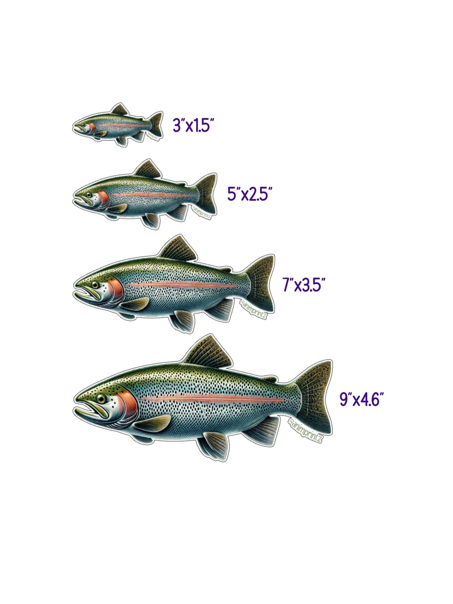 Rainbow Trout Matte Vinyl Sticker