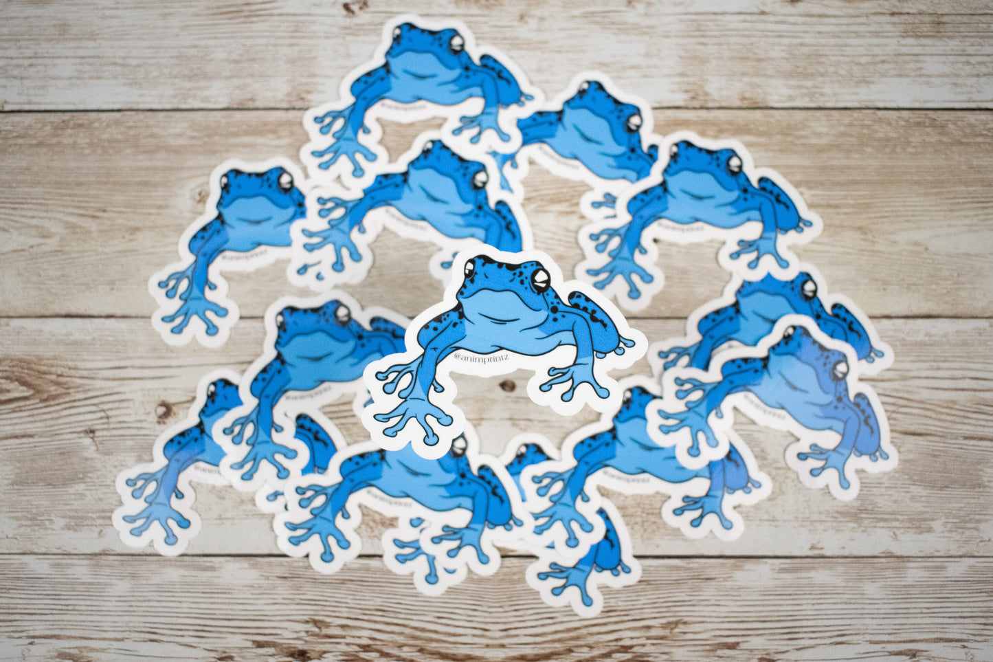 Blue Poison Dart Frog Glossy Vinyl Sticker