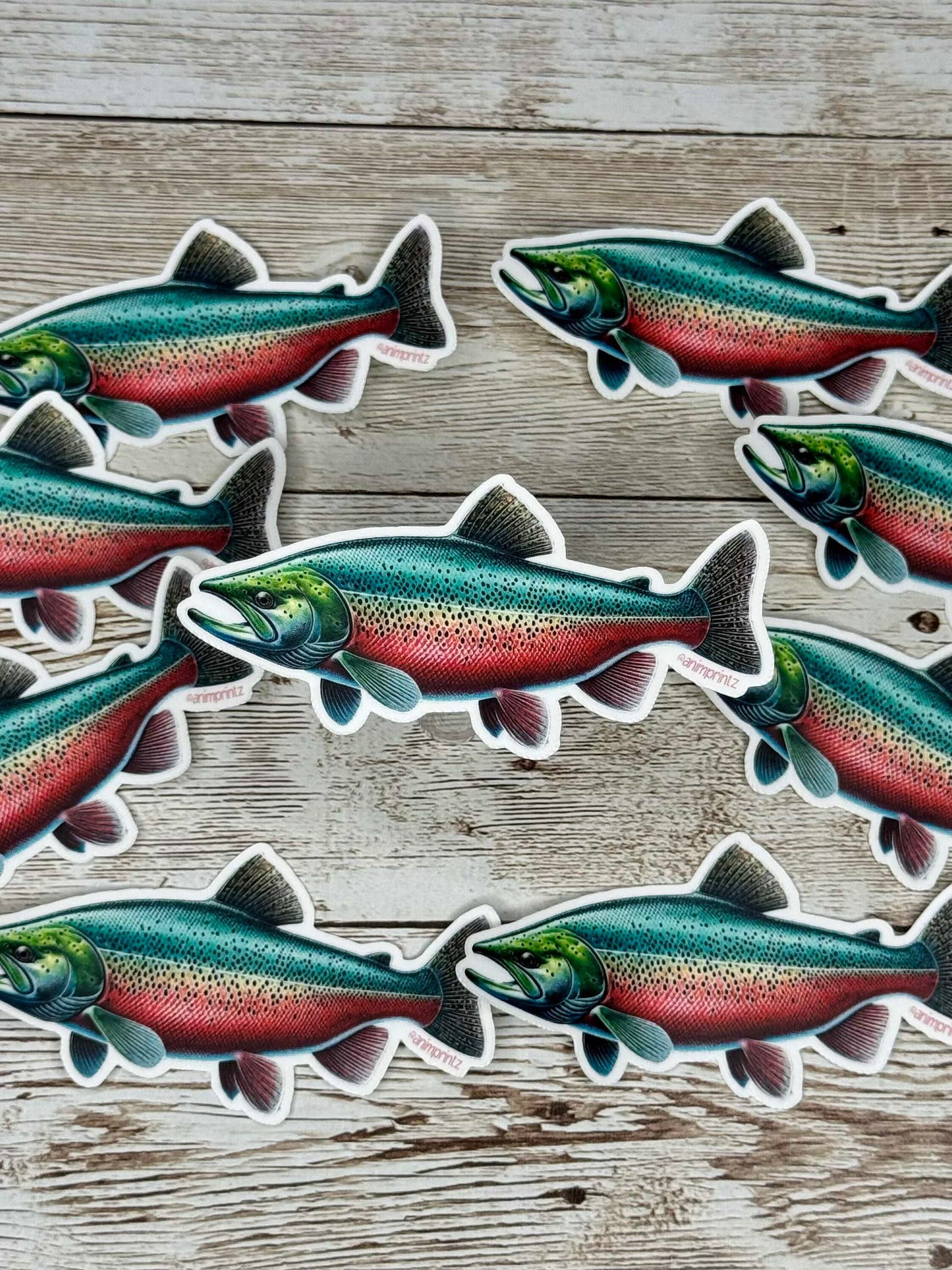 Sockeye Salmon Matte Vinyl Sticker