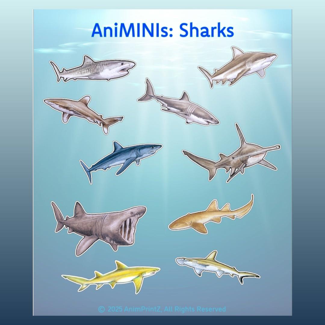 AniMINIs: Sharks; Matte Sticker Sheet