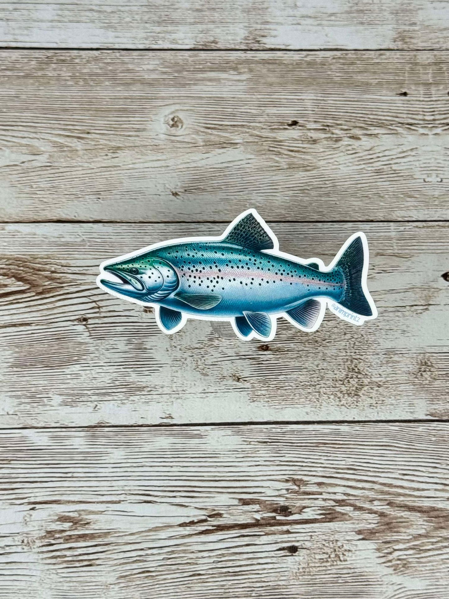 Chinook Salmon Matte Vinyl Sticker