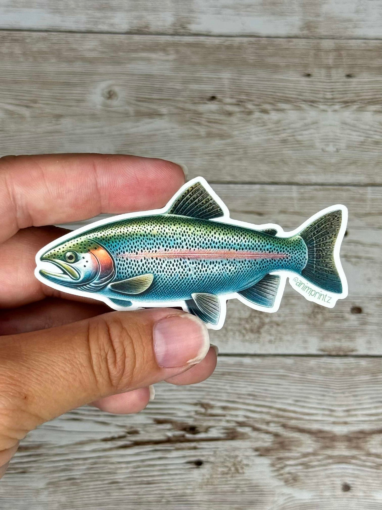 Rainbow Trout Matte Vinyl Sticker
