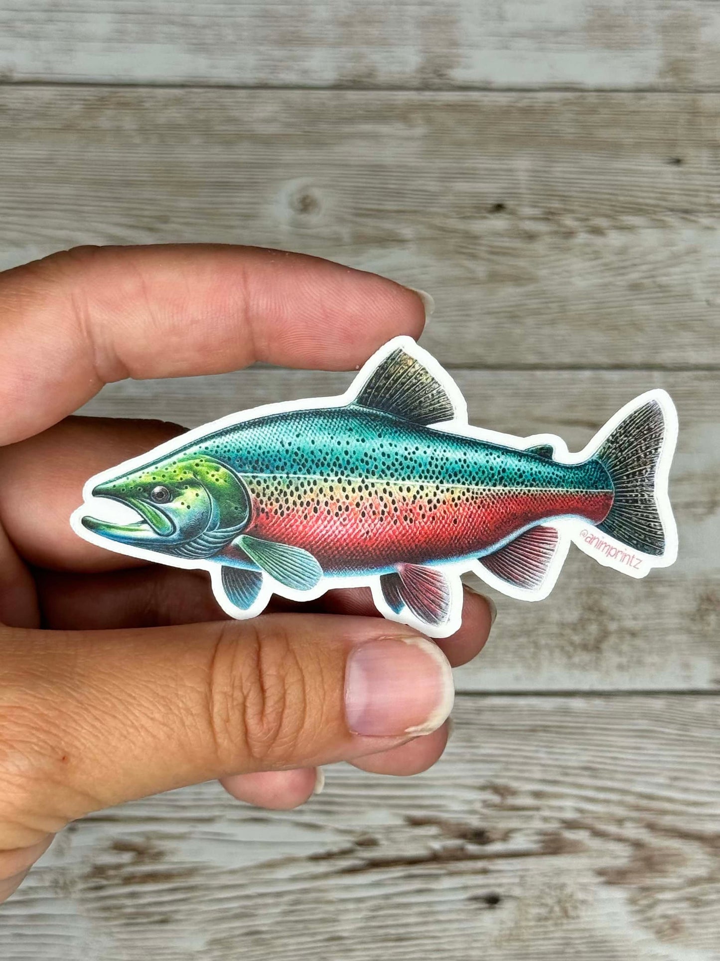 Sockeye Salmon Matte Vinyl Sticker
