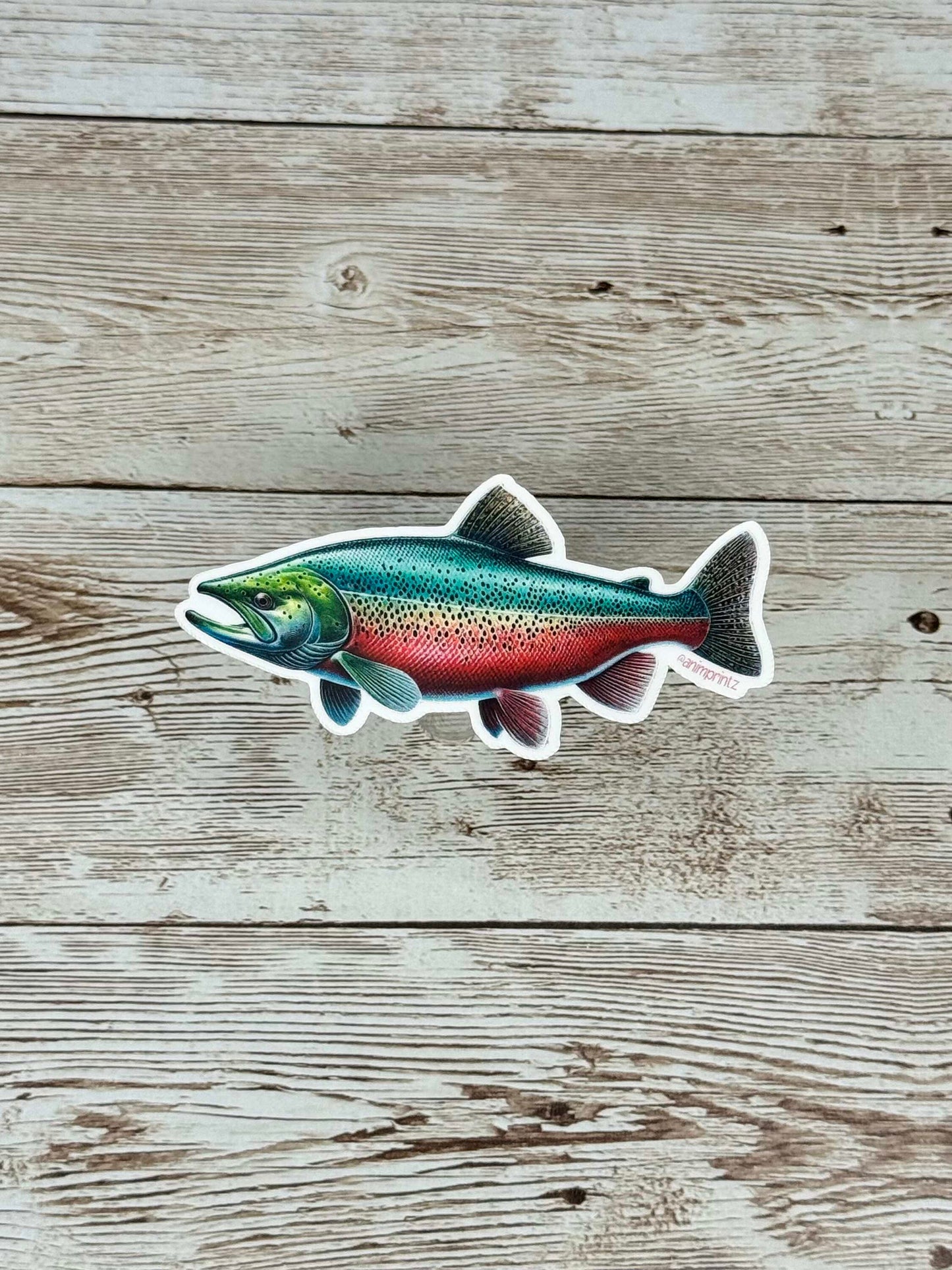 Sockeye Salmon Matte Vinyl Sticker