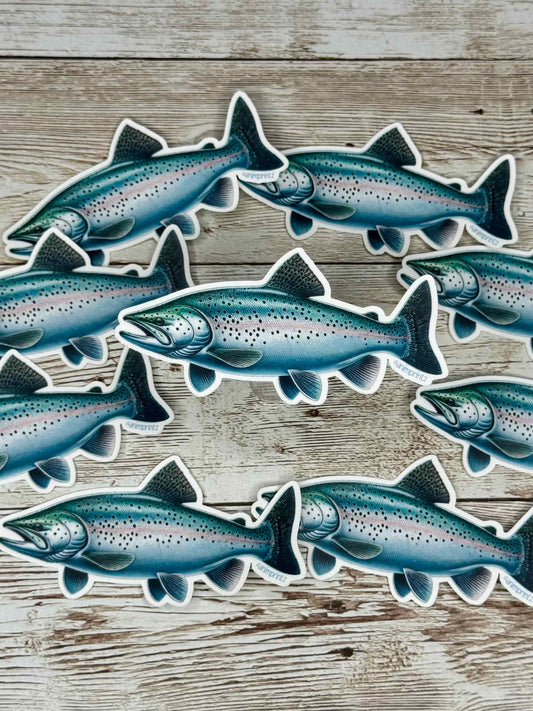 Chinook Salmon Matte Vinyl Sticker