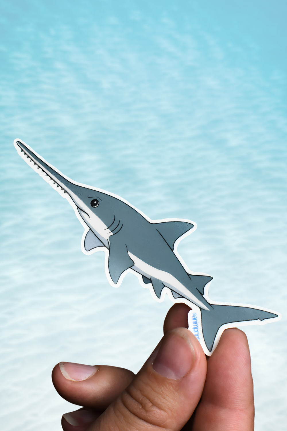 A die-cut sticker of a gray and white razorfish, held between a person's fingers against a light blue water-textured background.