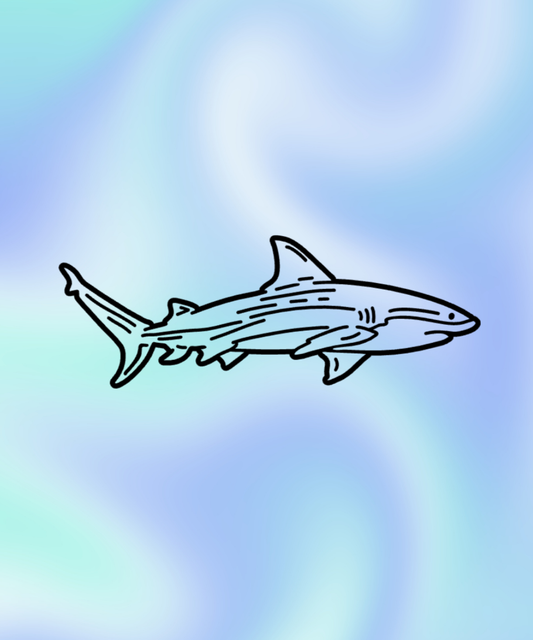 Permanent Vinyl Shark Outline Decal